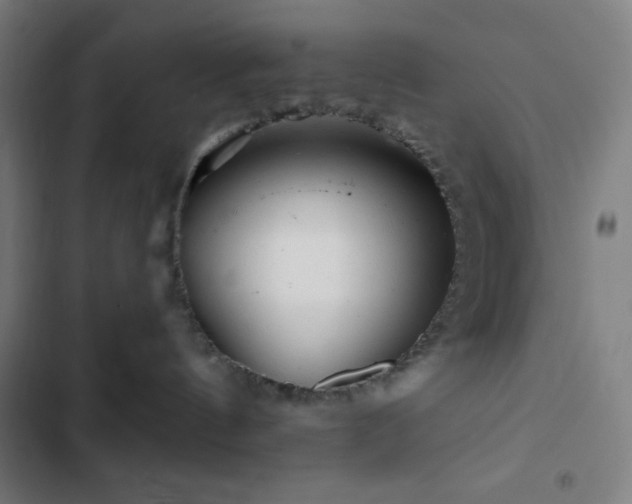 X0000103320144200809051155