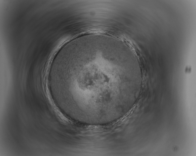 X0000103320145200809051154