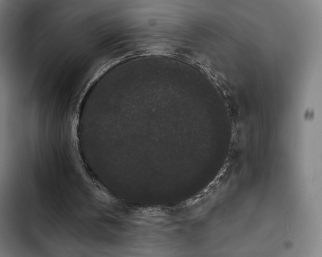 X0000103320146200809051155