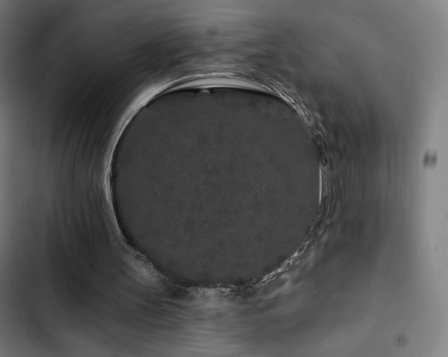 X0000103320147200809051155