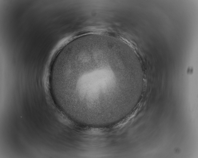 X0000103320149200809051155