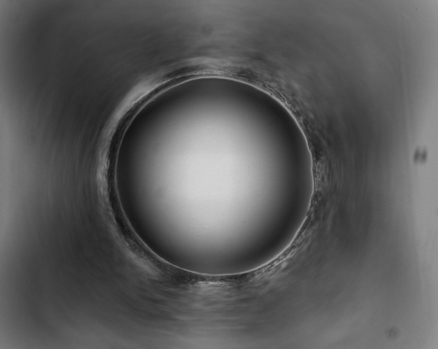 X0000103320150200809051155