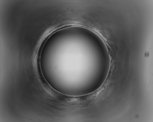 X0000103320151200809051155