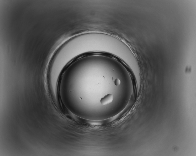 X0000103320152200809051155