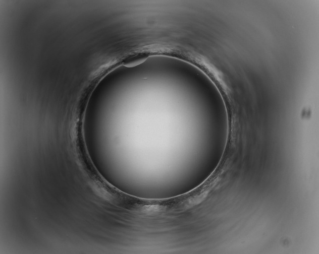 X0000103320153200809051155