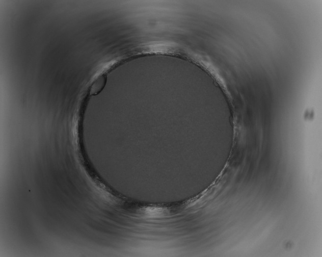 X0000103320154200809051155