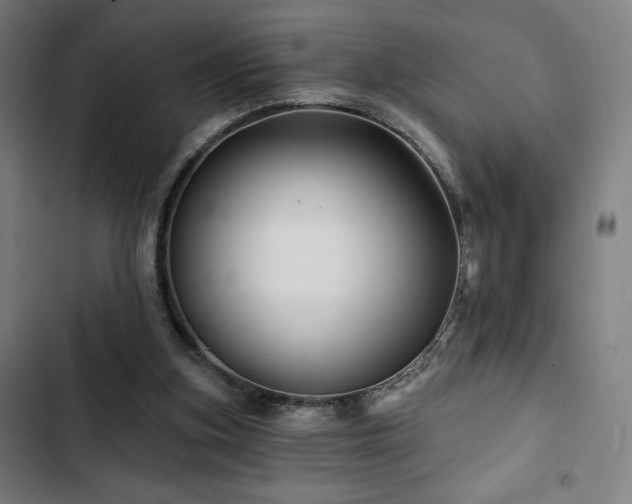 X0000103320155200809051155