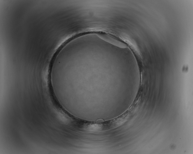 X0000103320156200809051155