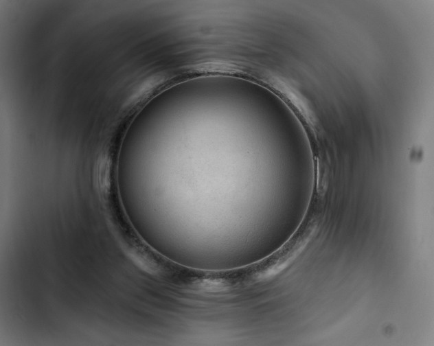 X0000103320157200809051155