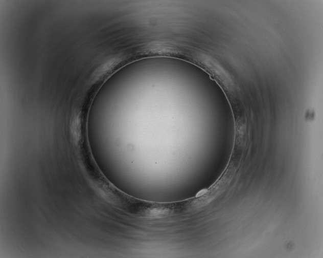 X0000103320158200809051155