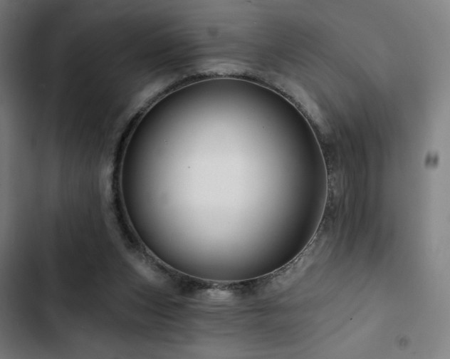 X0000103320159200809051155