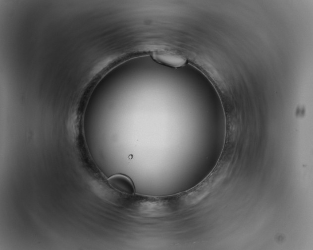 X0000103320160200809051155