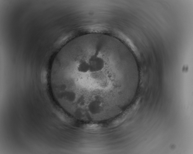 X0000103320161200809051155