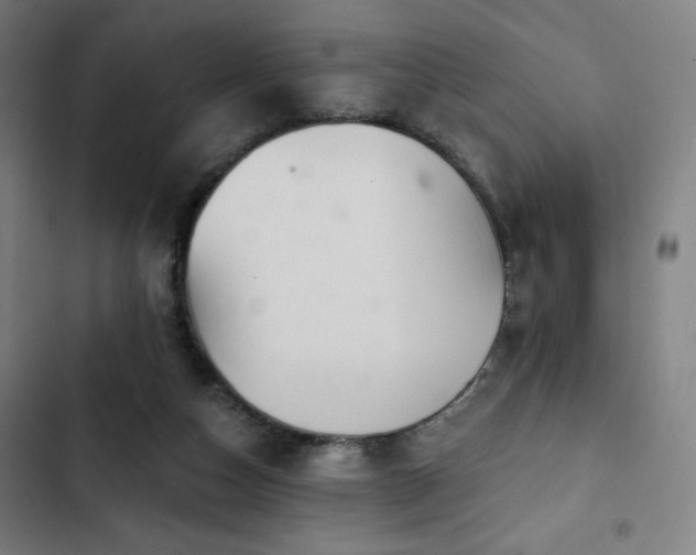 X0000103320162200809051155