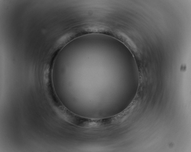 X0000103320163200809051155