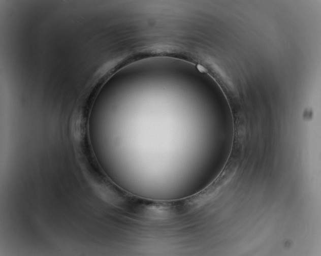 X0000103320164200809051155