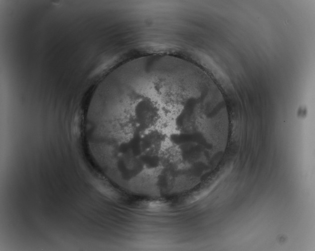 X0000103320165200809051155