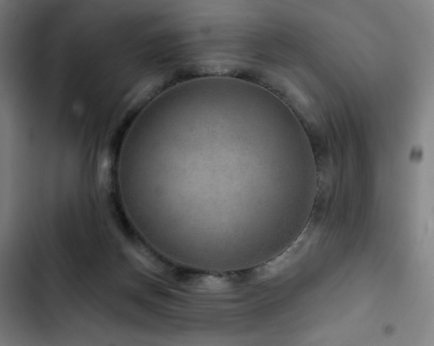 X0000103320166200809051155