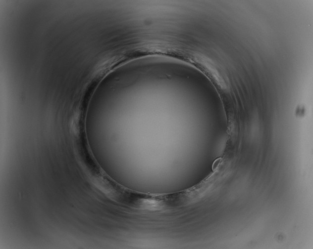 X0000103320167200809051155