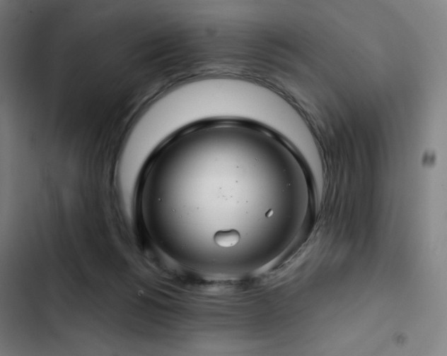 X0000103320168200809051155