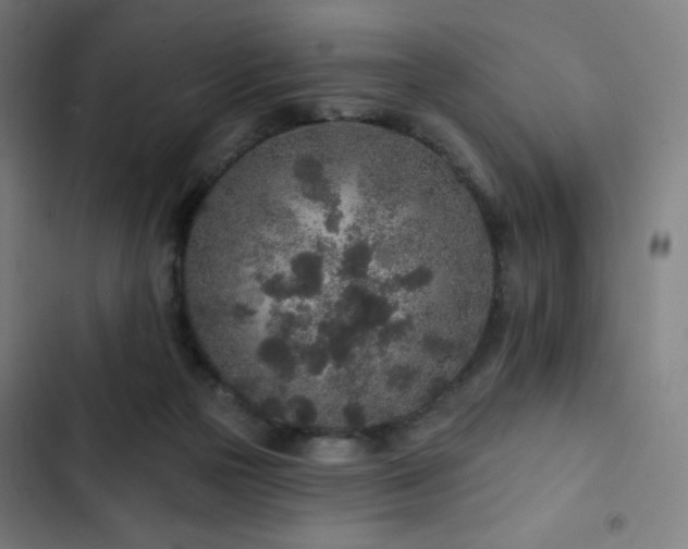 X0000103320169200809051155