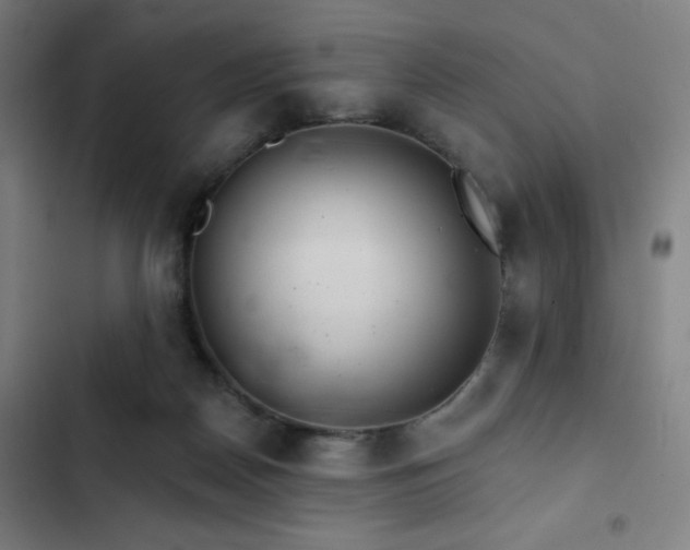 X0000103320170200809051155