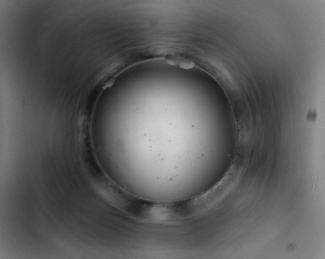 X0000103320171200809051155