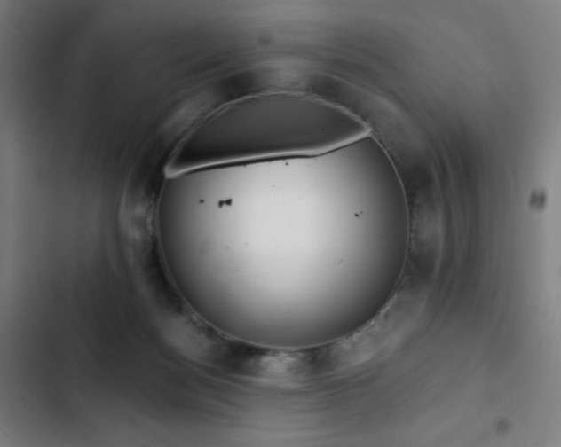 X0000103320172200809051155