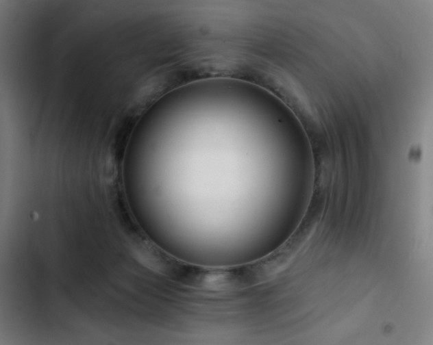 X0000103320173200809051155