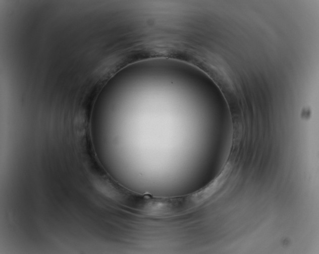 X0000103320174200809051155