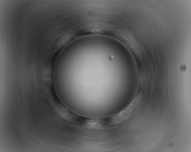 X0000103320175200809051155