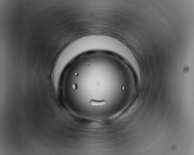 X0000103320176200809051155