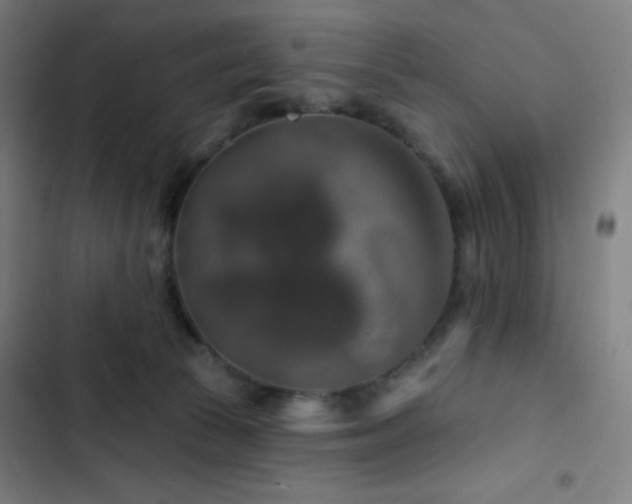 X0000103320177200809051155