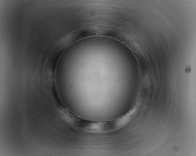 X0000103320178200809051155