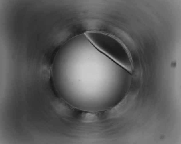 X0000103320180200809051155