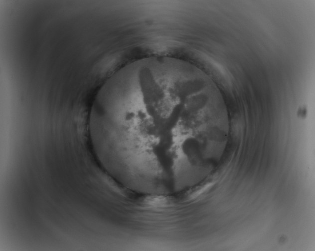 X0000103320181200809051155