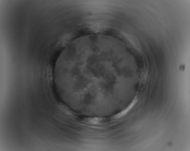 X0000103320182200809051155