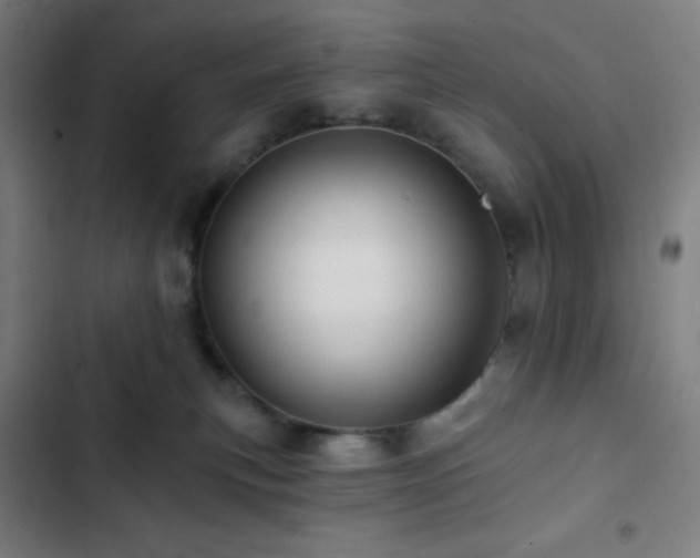 X0000103320183200809051155