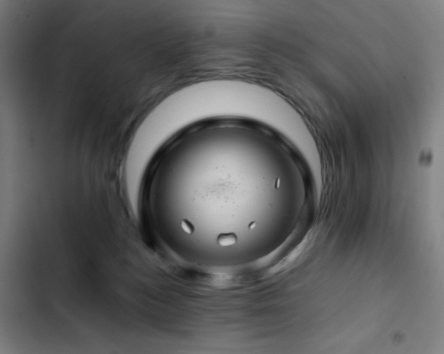 X0000103320184200809051155