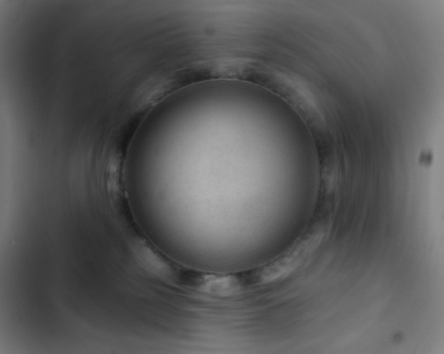 X0000103320185200809051155