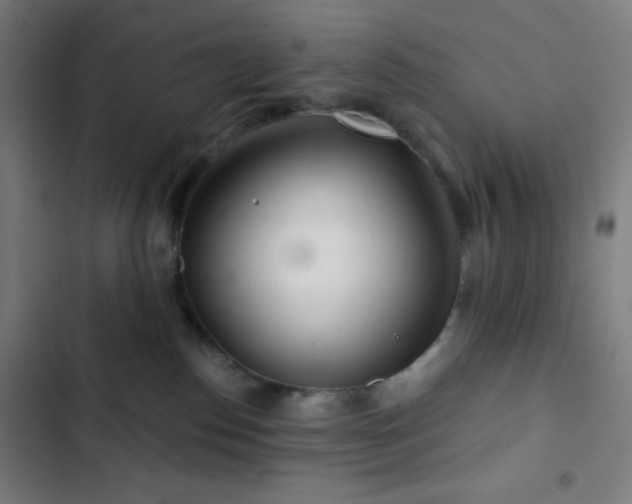 X0000103320186200809051155