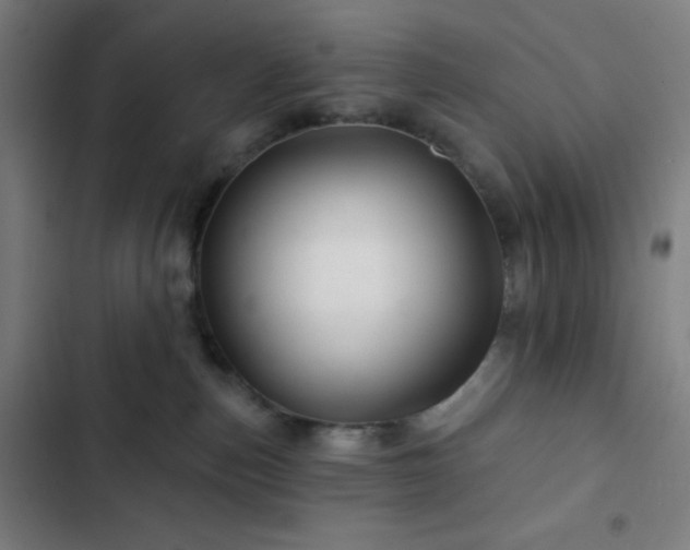 X0000103320187200809051155