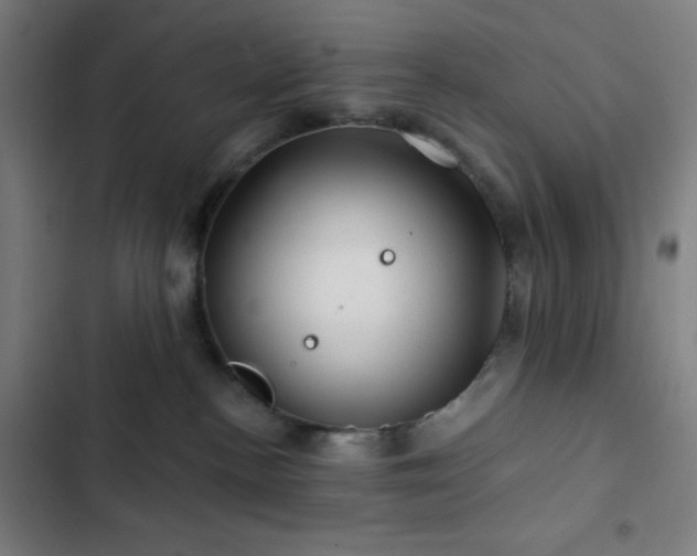 X0000103320188200809051155