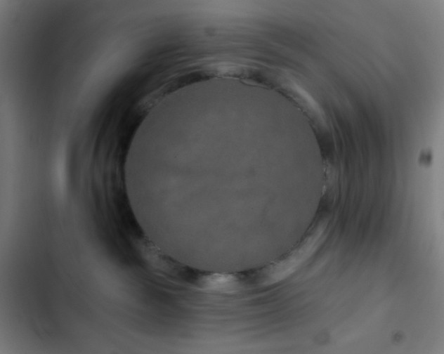 X0000103320189200809051155