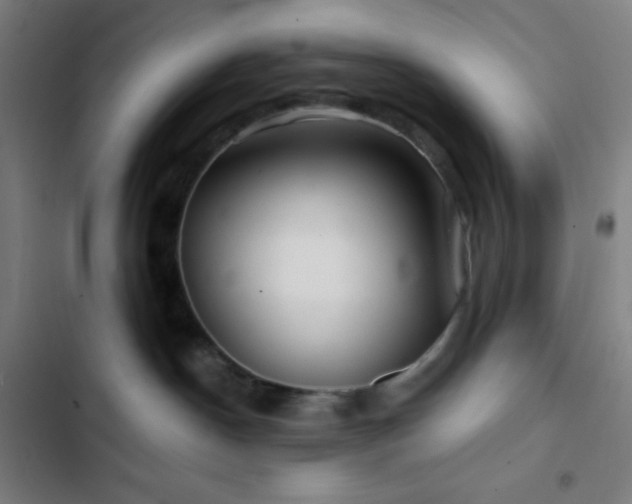 X0000103320190200809051155