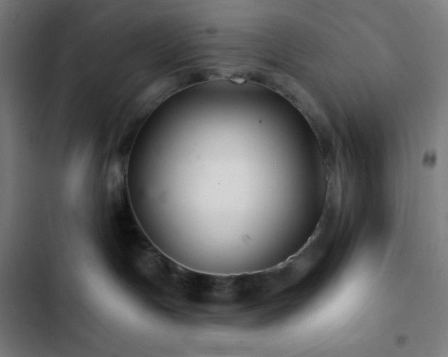 X0000103320191200809051155