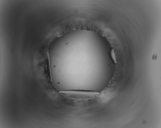 X0000103320192200809051155