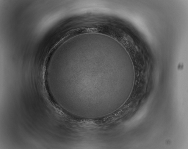 X0000103320194200809051154