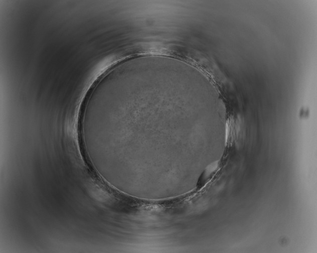 X0000103320195200809051154