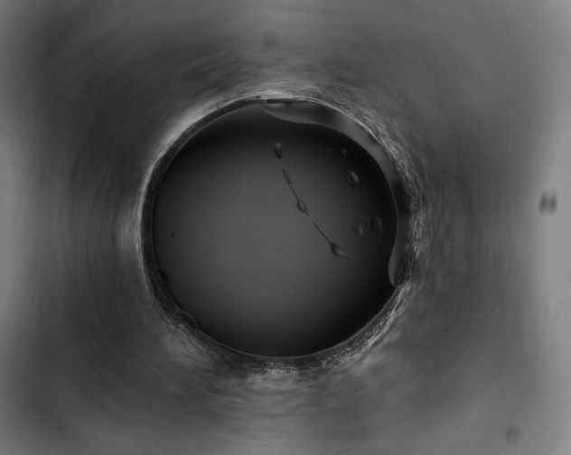 X0000103320196200809051154